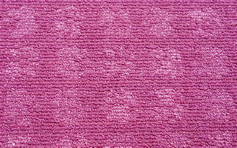 Hot Pink Floret Texture Free Stock Photo - Public Domain Pictures