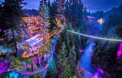 Canyon Lights will transform Capilano Suspension Bridge into a winter wonderland - Vancouver Is ...