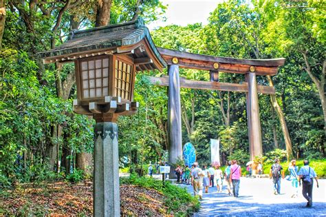 Travel Bugs: Tokyo Trip: Meiji Jingu Shrine