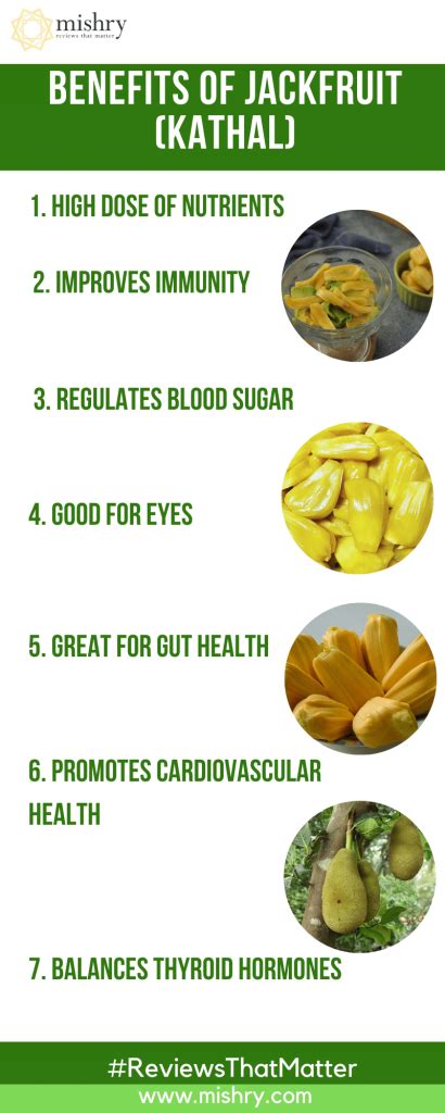 Jackfruit Benefits: Surprising Health And Beauty Benefits Of Kathal You ...