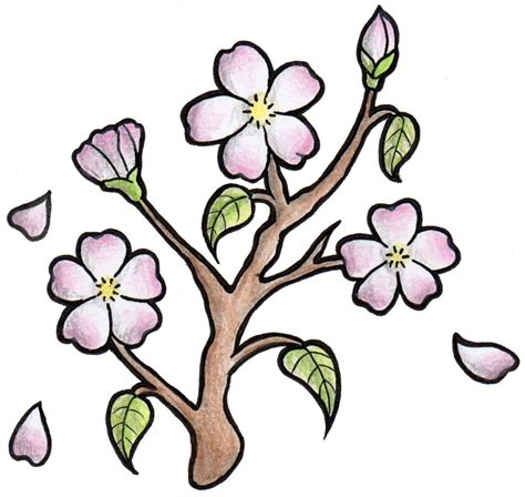 Japanese Cherry Blossom Drawing | Free download on ClipArtMag