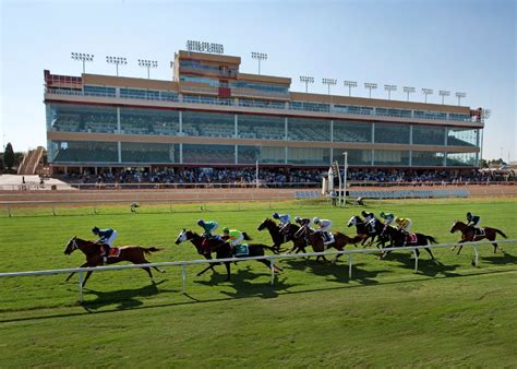 After Abrupt Closure, Lone Star Park Resumes Racing