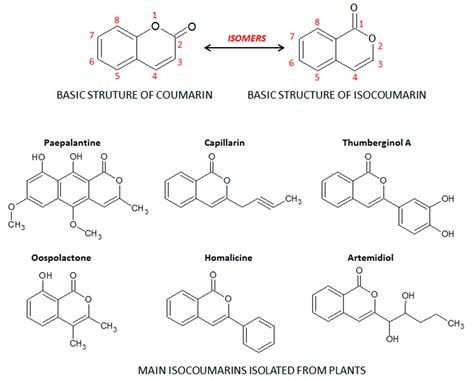 Molecules | Free Full-Text | Coumarin Derivatives in Inflammatory Bowel ...