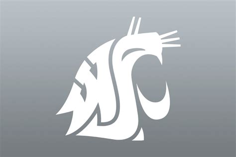 Montoya announces her return to the WSU faculty | WSU Insider | Washington State University