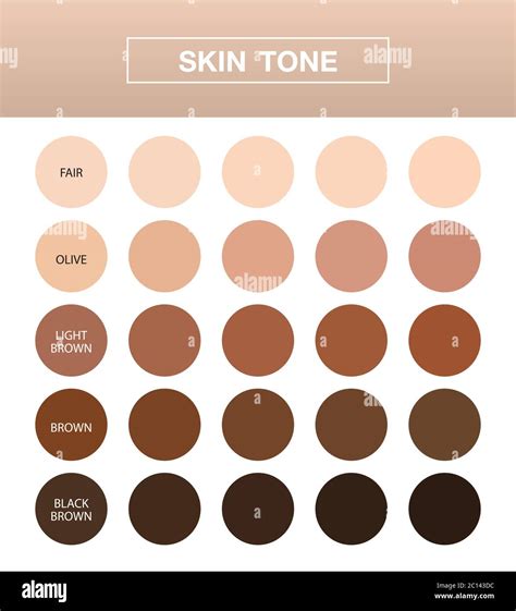 Skin Tone Infographic Color Table Chart Beauty Human Index Vector ...