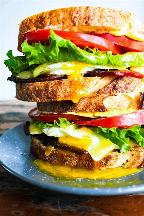 15 Healthy Gourmet Sandwich Recipes to Keep You Satisfied All Day