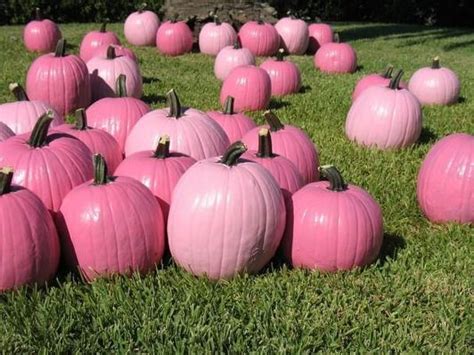 Best 25+ Pink pumpkins ideas on Pretty Pumpkins, Pink Pumpkins, Painted Pumpkins, Pumpkin Patch ...