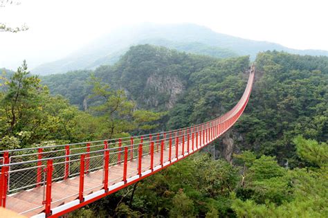 DMZ Day Tour: 3rd Invasion Tunnel & Gamaksan Suspension Bridge | South ...