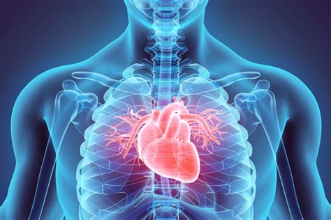 What Is Alcoholic Cardiomyopathy? Its Causes And Symptoms - NVT Health