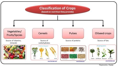 B for Biology: Crop Production and Management (Part I)