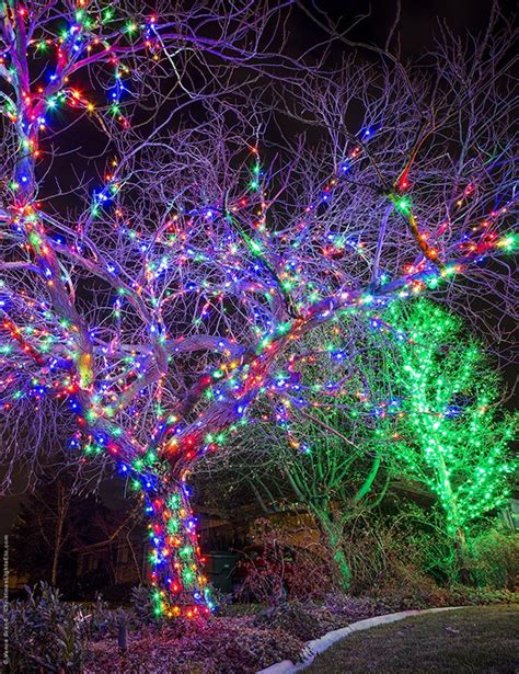 How to Wrap a Tree with Christmas Lights