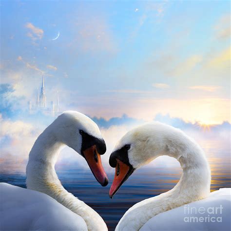 Pair Of Swans In Love Floating Photograph by Konstanttin - Pixels