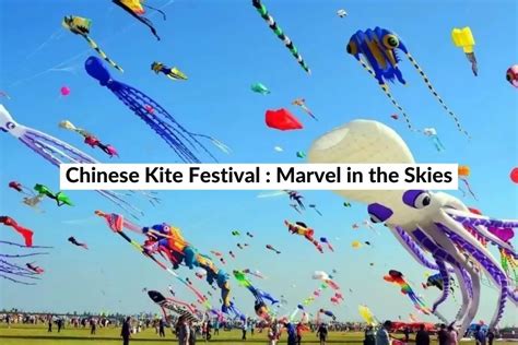 Chinese Kite Festival : Marvel in the Skies (2024)