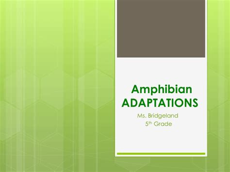 Amphibian ADAPTATIONS