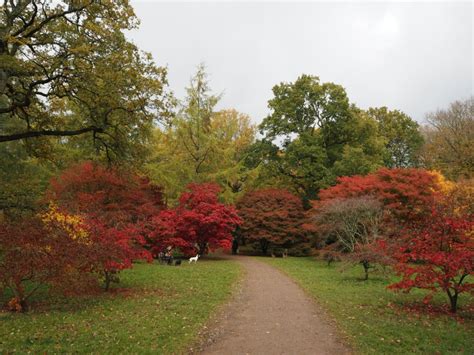 Autumn 2017 at Westonbirt Arboretum | Cosy Life