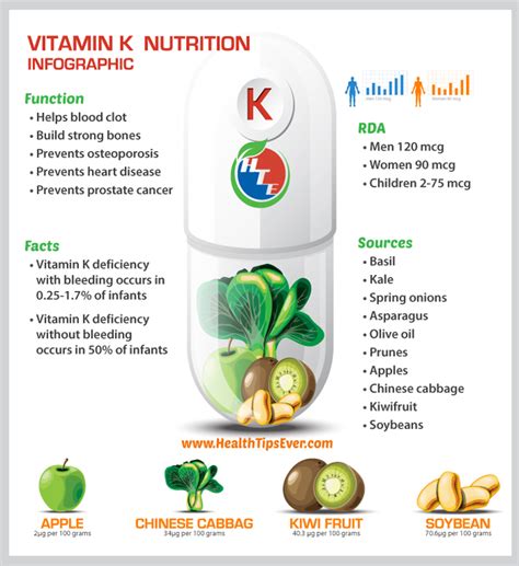 Vitamin K Infographic with Concise Description – Health Tips Ever Magazine