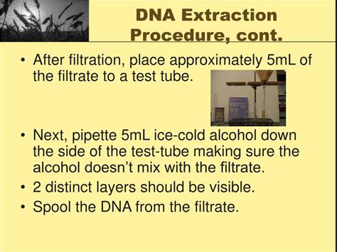 PPT - DNA Extraction PowerPoint Presentation, free download - ID:809958