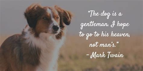 Dog Gone: 20 Inspirational Quotes About Losing a Dog - Terribly Terrier