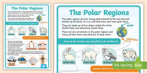 Polar Regions Large Information Poster (teacher made)