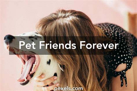 Pet Friends Forever · Pexels