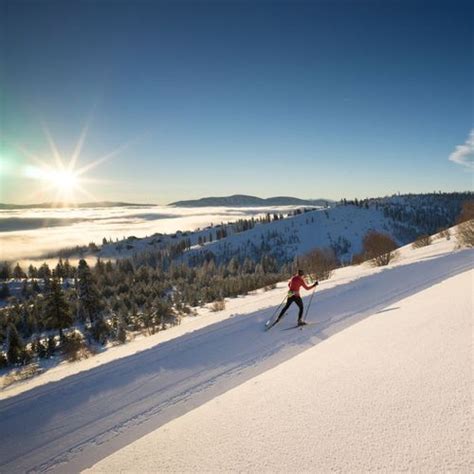 Cross Country Skiing In Tahoe - Truckee and Snowshoeing