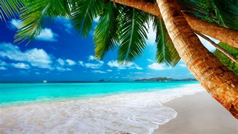 Download Windows 10 Beach Screensaver On Itl Cat - vrogue.co