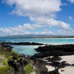 Galapagos Islands Cost to visit 2023 - GalapagosInformation.com Blog