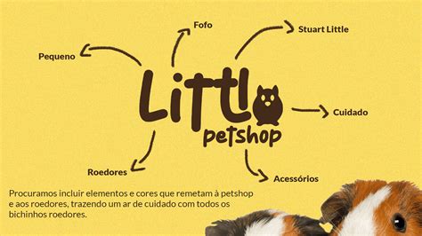 Little Pet Shop on Behance