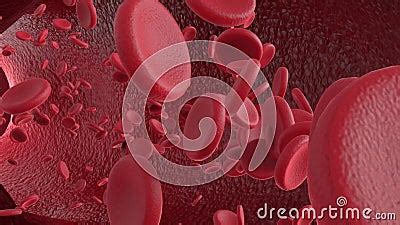 Red Blood Cells Animation in Vein. RBCs Flowing in Arteries. Blood 3d Render with High ...