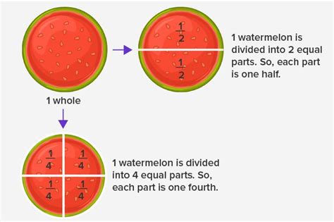 What is Fraction? - Definition, Facts & Example | Fractions, Proper ...