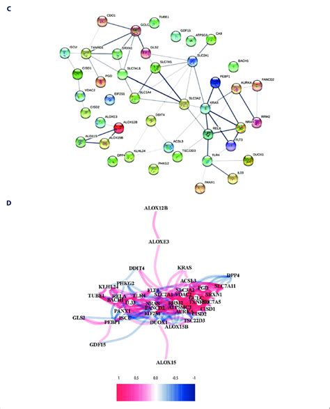 Identification of candidate genes related to ferroptosis in the TCGA ...