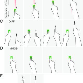 Tactile stimuli and movement conditions. (A) An example of the tactile ...