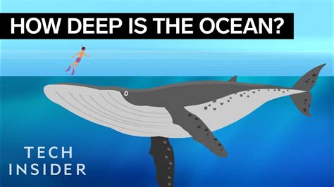 This Incredible Animation Shows How Deep The Ocean Really Is - YouTube