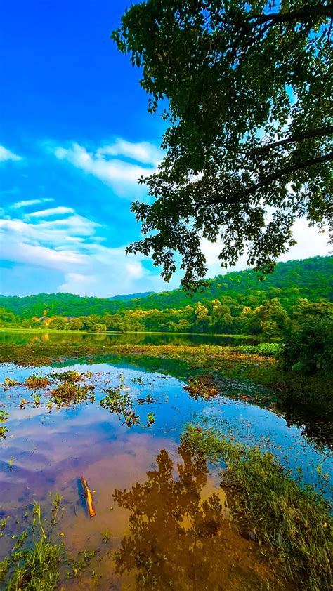 Lake Green Trees Blue Sky 4K Ultra HD Mobile Wallpaper