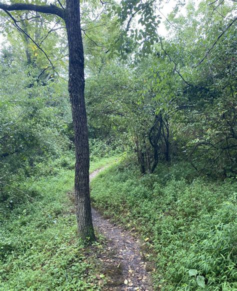 Hiking Trails Near Blacksburg, VA: Coal Mining Loop - Hiking for Beginners