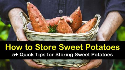 5+ Quick Tips for Storing Sweet Potatoes