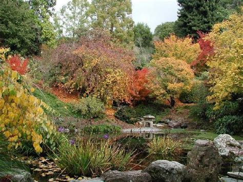 UC Botanical Garden at Berkeley - All You Need to Know Before You Go (with Photos) - TripAdvisor