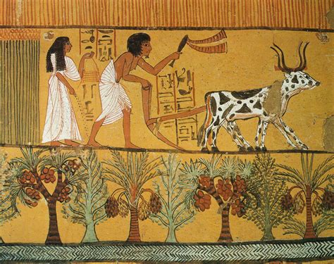 Agriculture - Ancient Egypt Photo (37472437) - Fanpop