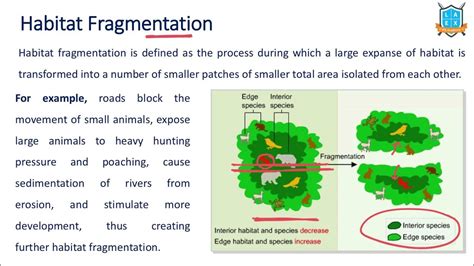 What is Habitat Fragmentation ? || Habitat Fragmentation అంటే ఏమిటి ...