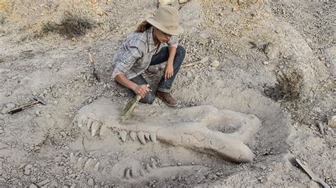 A Dinosaur Archeological Dig Turns Deadly in Interesting Trailer For The Thriller VALLEY OF ...