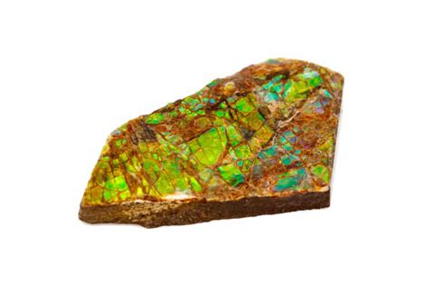 Ammolite: Meanings, Properties and Powers - The Complete Guide