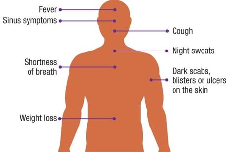 Mycotoxin Poisoning Toxic Mold: Symptoms Solutions Amy, 51% OFF