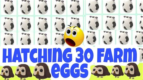 Hatching 30 Farm Eggs in Adopt Me 2020 - YouTube