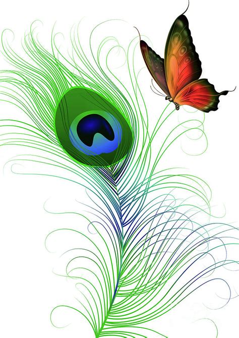 Peacock Feather Art 1 Digital Art by Prar K Arts - Pixels