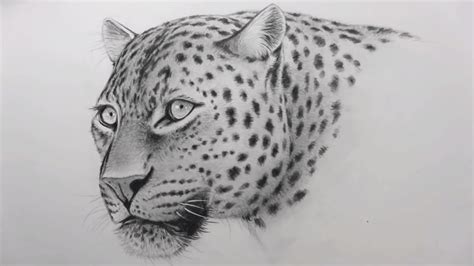 Leopard Drawing Step by Step #Leopard #Drawing | Leopard drawing, Sketching techniques, Leopard face