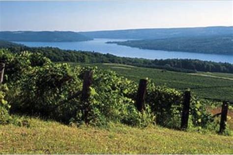 5 of the best Finger Lakes wine tours