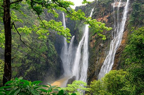 Jog falls, estado de karnataka, india, bosque, cascada, india, naturaleza, Fondo de pantalla HD ...