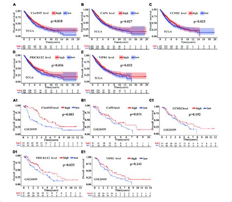 | Survival analysis of mRNAs in ceRNA regulatory network. The survival... | Download Scientific ...