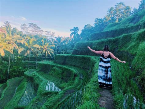 29 Incredible Things to do in Ubud, Bali - Taylor's Tracks