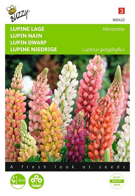 Lupin Flower Seeds - Free shipping of Seeds when ordering above 25 euro!